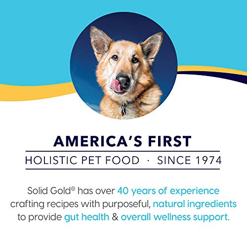 Solid Gold Beef Bone Broth for Dogs - Grain Free Dog Food Topper Rich in Collagen and Superfoods - Nutrient Dense Dog Gravy Topp