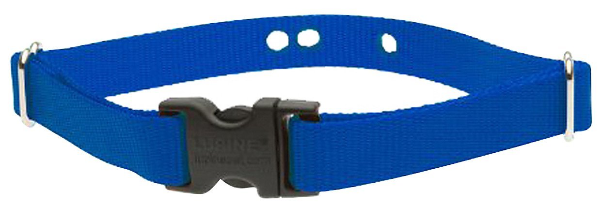 Lupinepet Basics 3/4' Blue 16-24' Containment Collar Strap For Medium And Larger Dogs