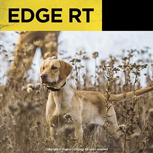 Dogtra Edge RT Orange Additional Receiver Long Range High-Output 1-Mile Waterproof 3-Dog Expandable Remote Dog Training E-Collar
