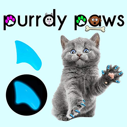 Purrdy Paws 40 Pack Soft Nail Caps For Cat Claws Blue Glow In The Dark Medium