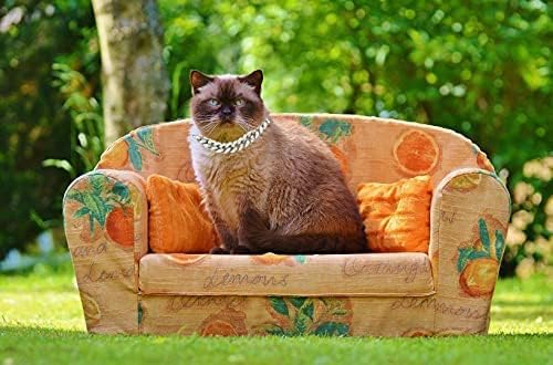 Halukakah Cat Collar - Carat - Iced Out Diamond Cuban Link Gold Chain For Cats & Kittens - Platinum Plated 8' Collar Size - Wit