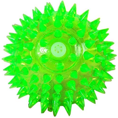 D&C Paws Puppy Chew Toys Dog Cat Pet Led Whistle Squeaky Squeaker Sound Ball (Pack Of 1)