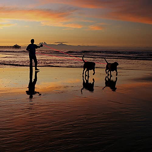 Plutus Pet Long Rope Dog Leash, With Comfortable Padded Handle, Reflective Nylon Heavy Duty Rope Leash, 15Ft 20Ft 30Ft 50Ft 66Ft Dog Training Leash For Small Medium Large Dogs (50Ft, Red)