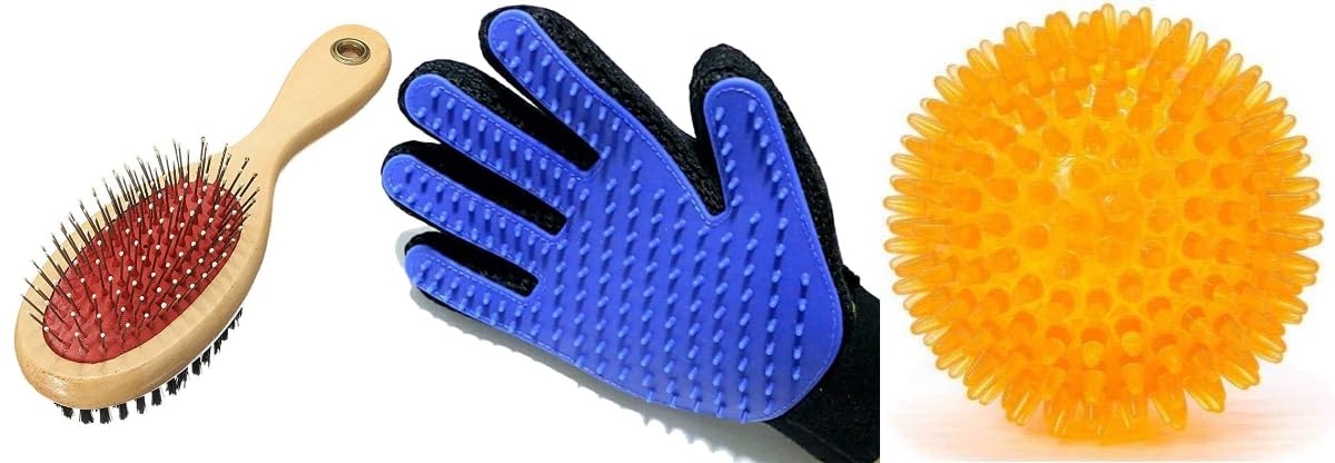 Penta Paws Comb Pack 2 In 1 Pet Grooming Accessories, Massaging And Deshedding For Dogs & Cats And Led Whistle Squeaky Squeaker 