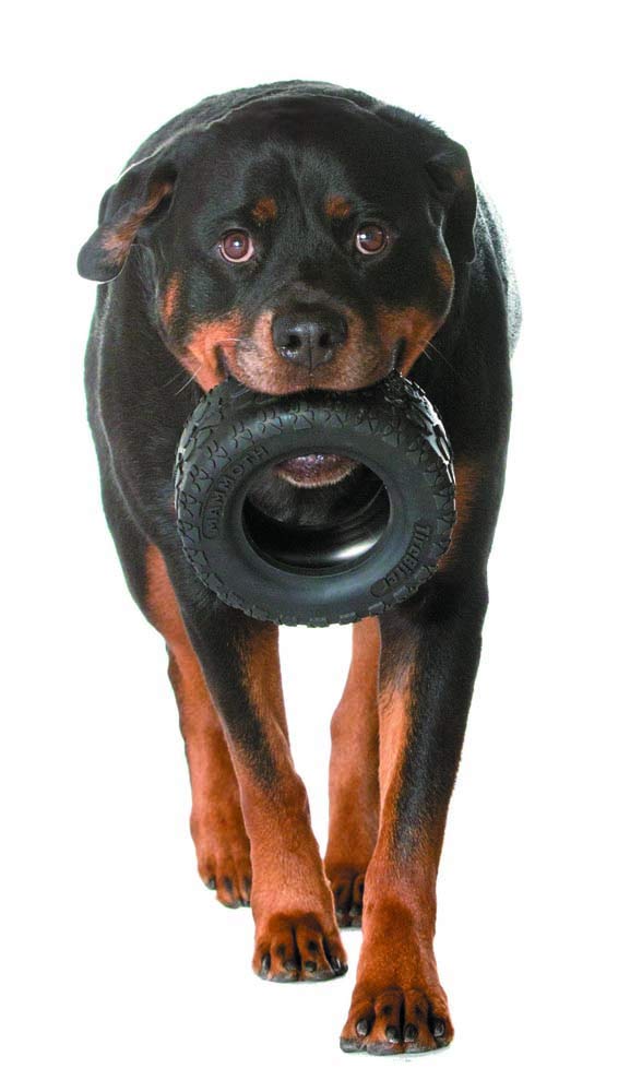 Mammoth Tirebiterii – Natural Rubber Dog Toys For Extreme Chewers – Dog Toys For Extra Long Interactive Play – Aggressive Chewer Toys For Large - X-Large Dogs - X-Large 7”