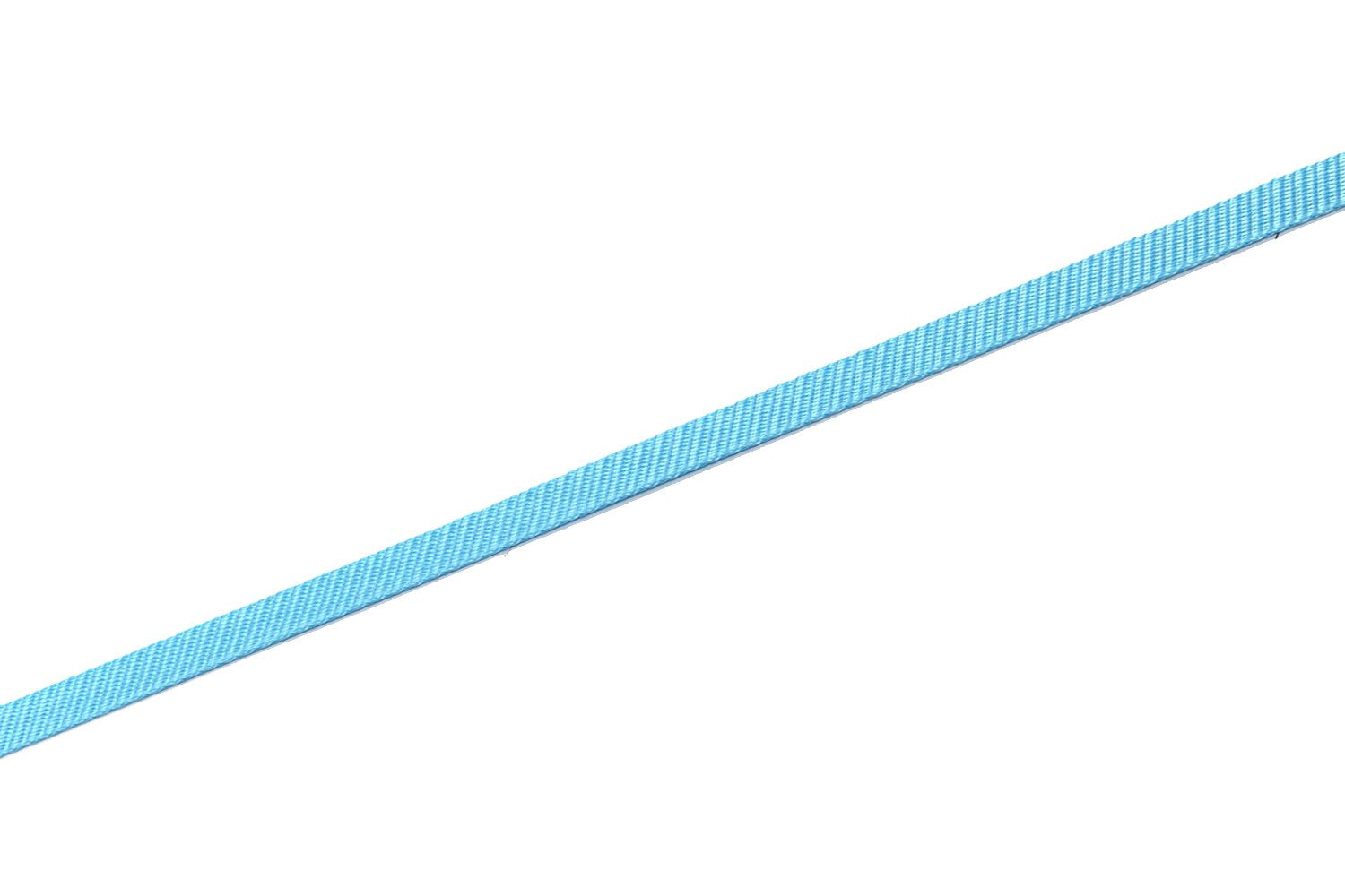 Nylon Dog Leash 4 Ft 5 Feet 6 Foot Long, Walking Training Dog Leashes For Medium Large Dogs, 1 Inch Wide(6Ft,Blue)