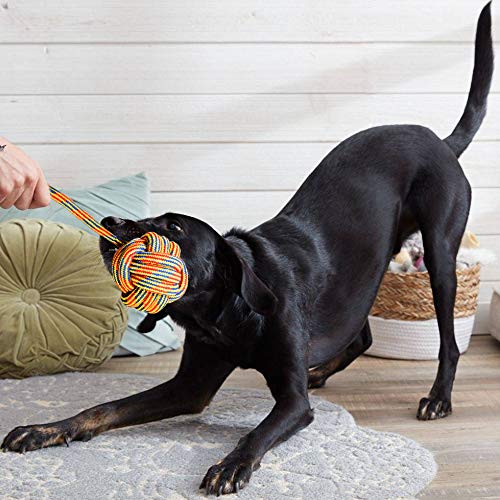 Youngever 6 Pack Large Dog Rope Toys, Dog Chew Toys, Dog Toys For Large, Xl Large Breed Dogs