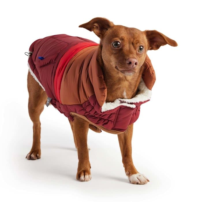Elasto-Fit Classic Puffer Dog Jacket - Quilted Winter Pet Coat With Adjustable Straps, Waterproof Insulated Dog Outerwear For Small Medium Large Dogs, Easy On Off Design - Dark Red, X-Large