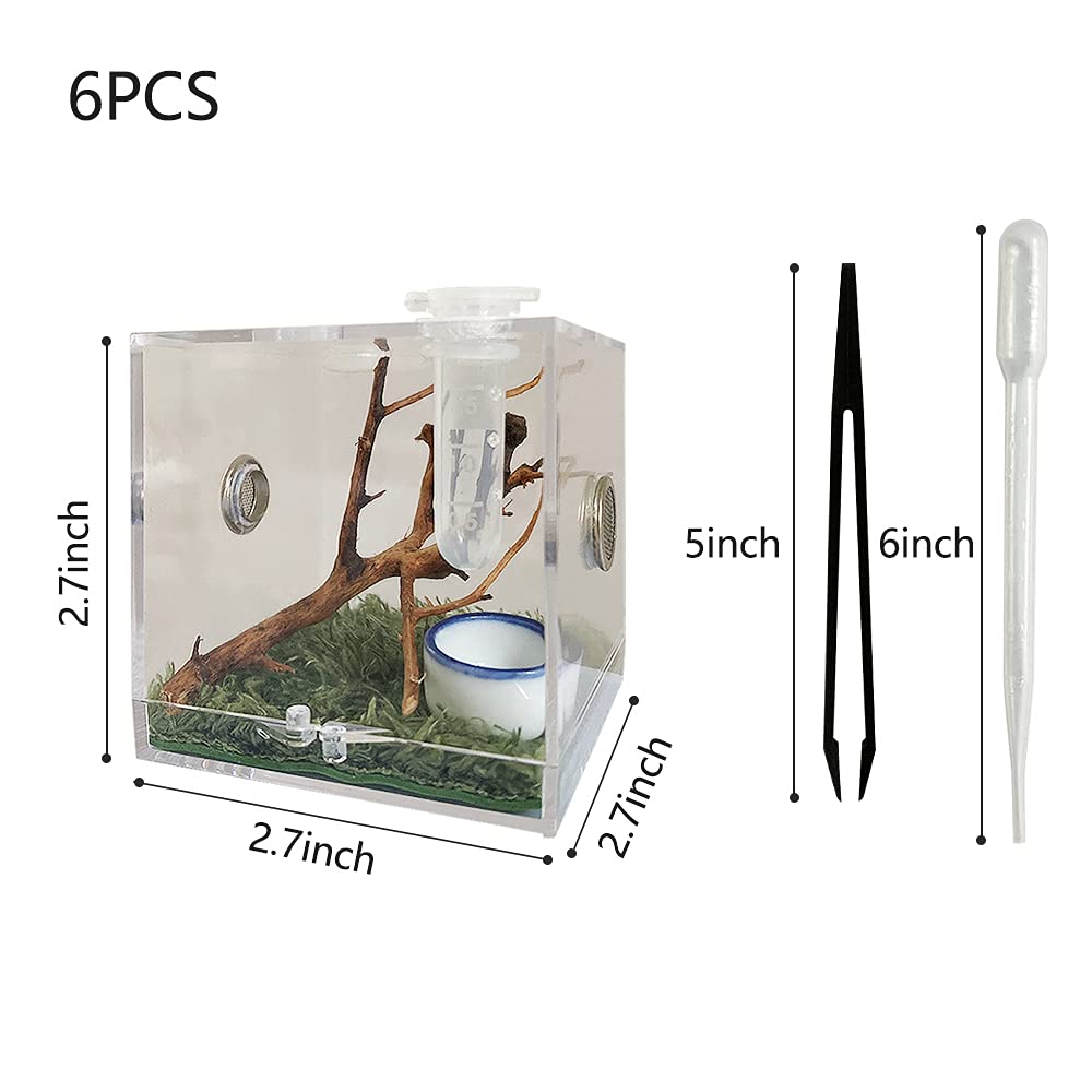 Jobede Jumping Spider Enclosure, Jumping Spider Habitat With Dropper Tongs Acrylic Reptile Breeding Box For Tarantula Scorpion Sling Isopods Invertebrates Insects Mantis Snake Gecko