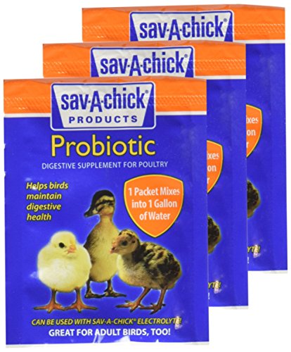 9-Count Sav-A-Chick Probiotic Supplements - (3 Packages with 3 Packets Each)