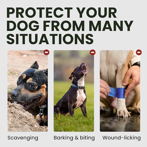 Bronzedog Dog Muzzle Adjustable Durable Metal Wire Basket For Large And Extra Large Dogs With Leather Straps Breathable, Drinkable, Training, Prevents Biting (Stainless Steel, Rottweiler)