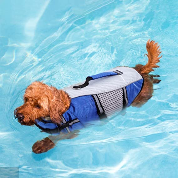 Dog Life Jacket Swimming Vest Lightweight High Reflective Pet Lifesaver With Lift Handle, Leash Ring Blue,S