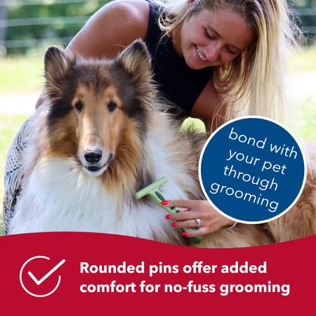 Coastal Pet Safari Double Row Undercoat Rake - Gentle Dematting And Deshedding Grooming Comb For Dogs