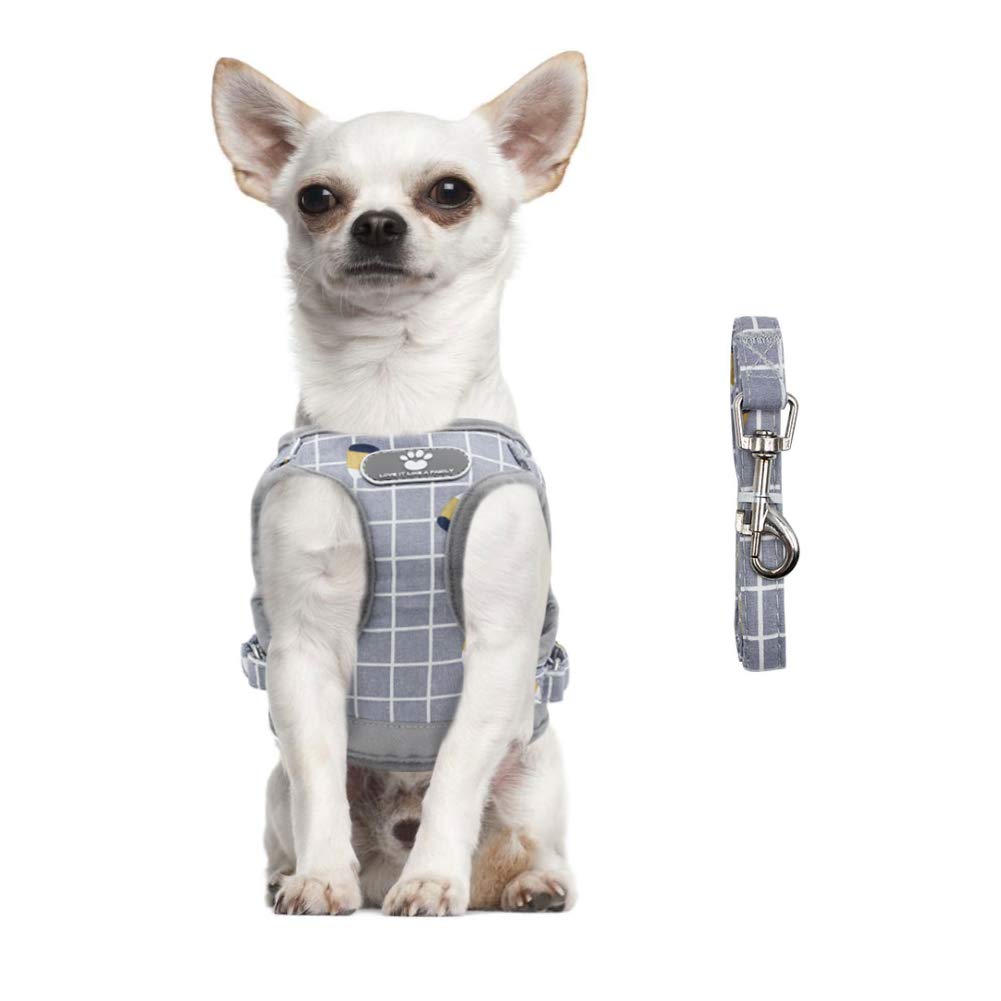 Feimax Dog Harness And Leash Set, No-Pull Breathable Soft Mesh Puppy Vest Harness Reflective Adjustable Pet Harnesses For Small Medium Dogs And Cats - Outdoor Easy Control For Walking