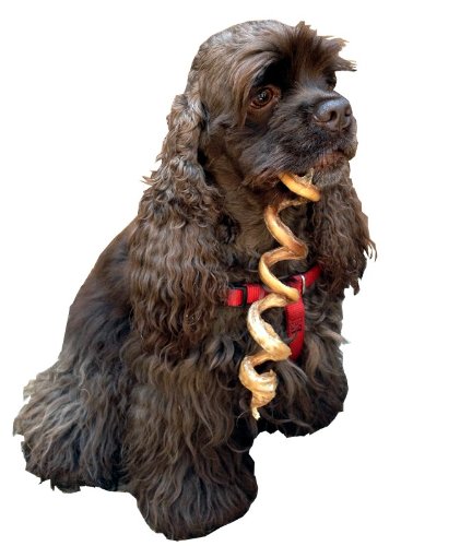 HDP Dental Floss Curly 4-6 Bully Sticks Made in USA Odor Free Size:Pack of 25