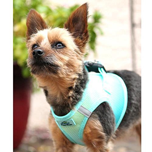 Doggie Design No Choke Dog Harness - Simple Step-in and Go Dog Vest for Small, Medium, and Large Breeds - Breathable Mesh Polyester Pet Harness - Aruba Blue - M