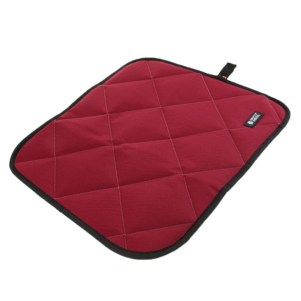 BNF Pet Supplies  Dog Supplies  BlanketsWaterproof Pet Dog Cat Car Mat Seat Cover Protector Mat Blanket S Rose Red1 Piece Ma