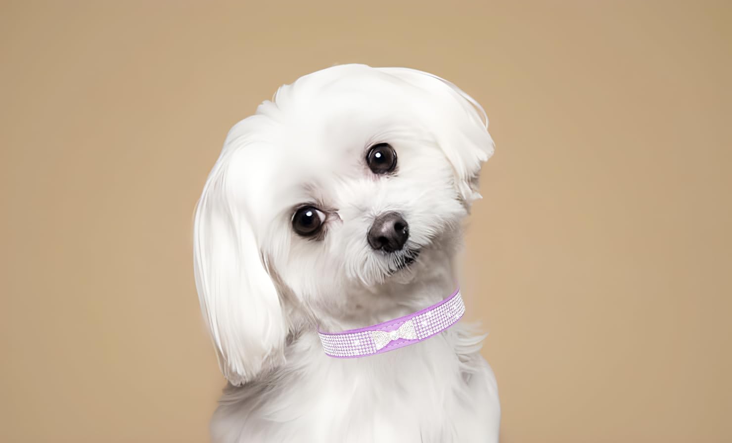 Bling Dog Collars For Small Dogs, Rhinestone Puppy Collar With Jeweled Crystal Sparkling Glitter Girl'S Cat Collar Adjustable Fo
