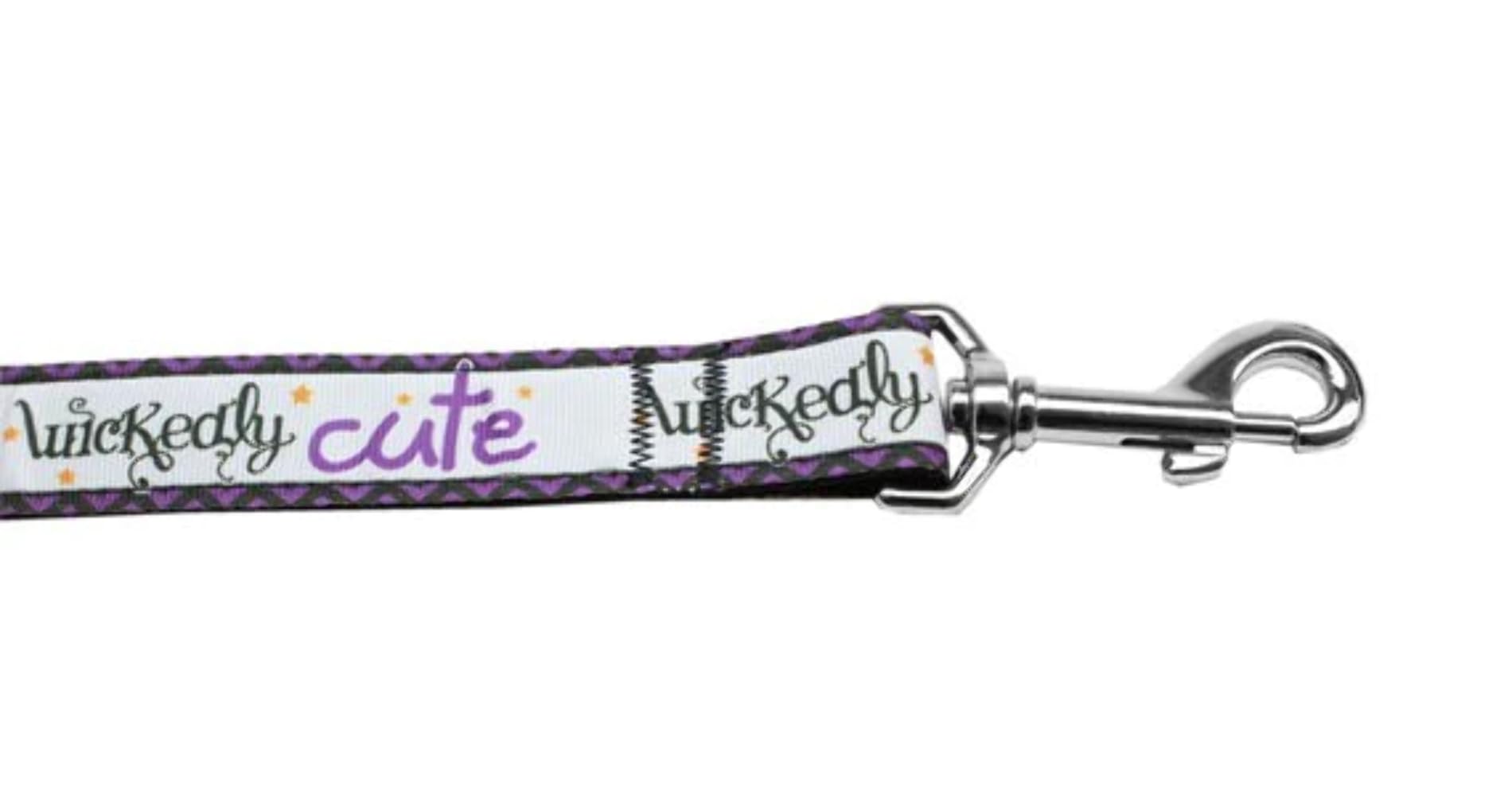 Halloween Pet Dog & Cat Nylon Collar or Leash, "Wickedly Cute" 5/8" w x 4 ft. leash