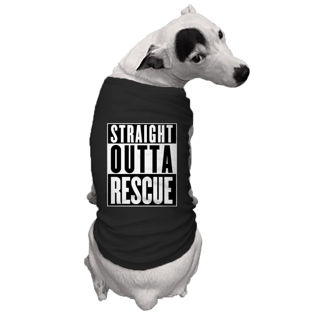 Straight Outta Rescue - Shelter Dog Shirt (Black, Small)