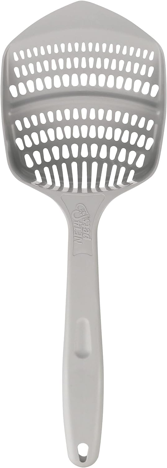 Kittygohere Senior Cat Litter Box 1 Pack, Small Misty Gray Low Entrance Kitty Litter Box, Sized For Cats Comfort, Perfect For Se