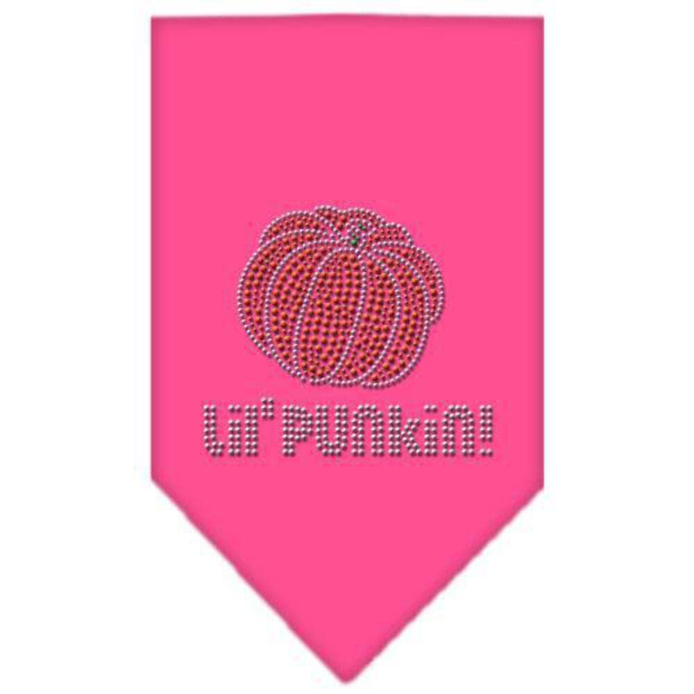 Halloween Pet and Dog Bandana Rhinestone, Lil Punkin Cocoa Large