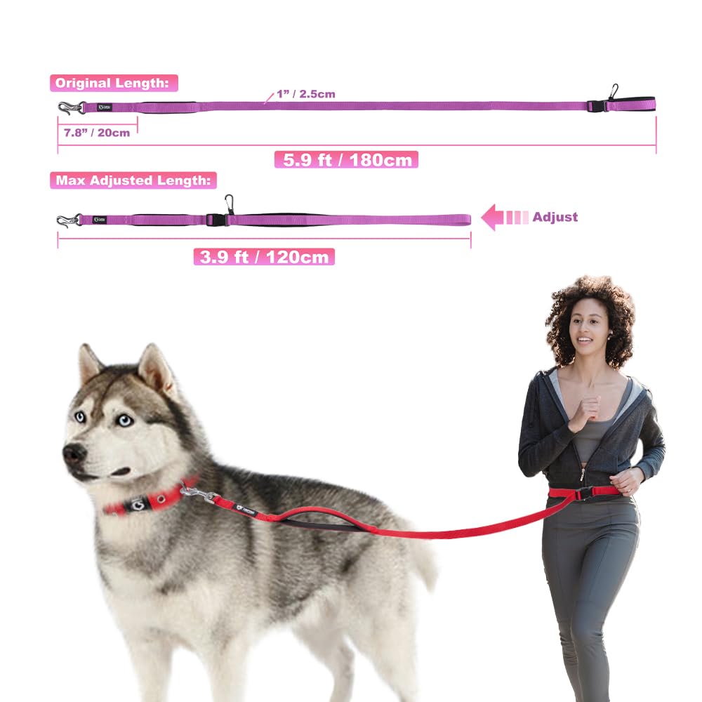 TSPRO Hands Free Dog Leash for Medium to Large Dogs, Adjustable Durable Leash with Comfortable Safety Padded Handle, Heavy Duty
