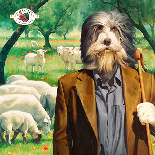 Fromm Four-Star Nutritionals Lamb & Lentil Dog Food - Premium Dry Dog Food - Lamb Recipe - 12 lb