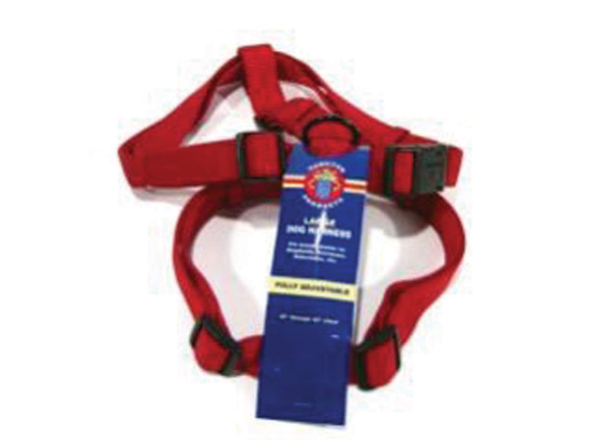 Hamilton Adjustable Comfort Nylon Dog Harness, Red, 1'' x 30-40''