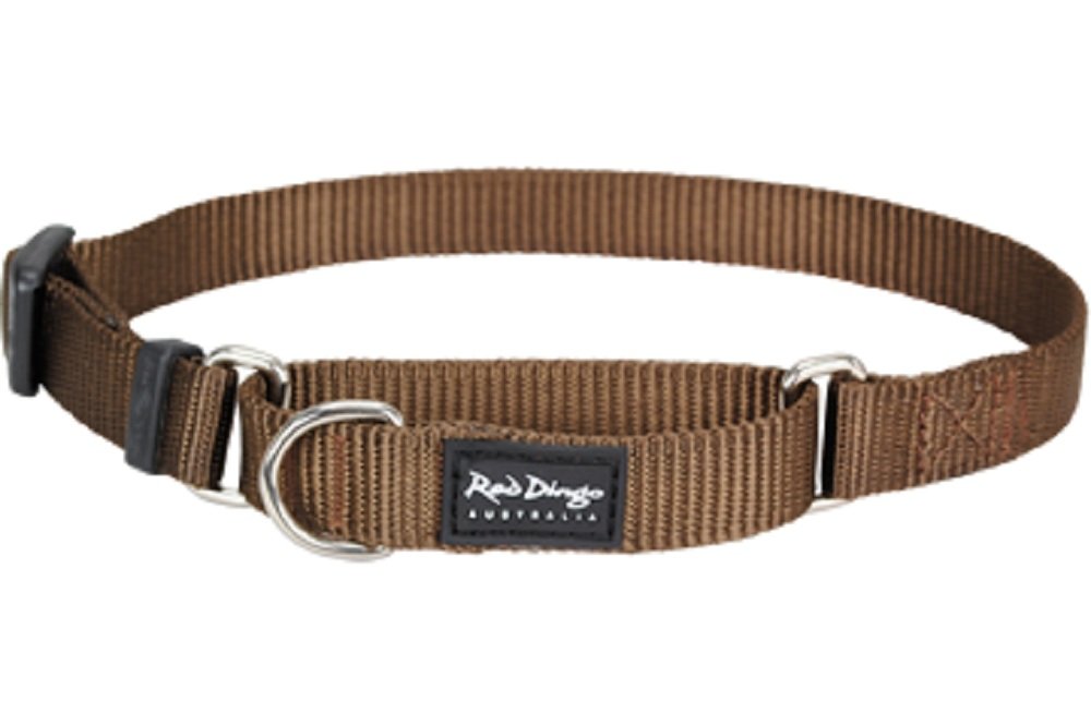 Red Dingo Classic Martingale Dog Collar, Medium, Brown