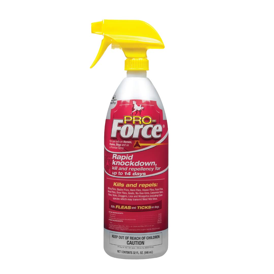 Manna Pro Pro-Force Fly Spray - Rapid Knockdown Fly Repellent for Horses - Repels More than 70 Listed Species for up to 14 Days 