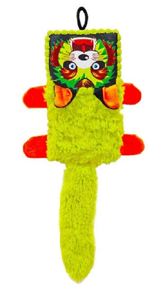 Scoochie Pet Products 477 Squeaker Box Dog Toy, 16", Green & Orange