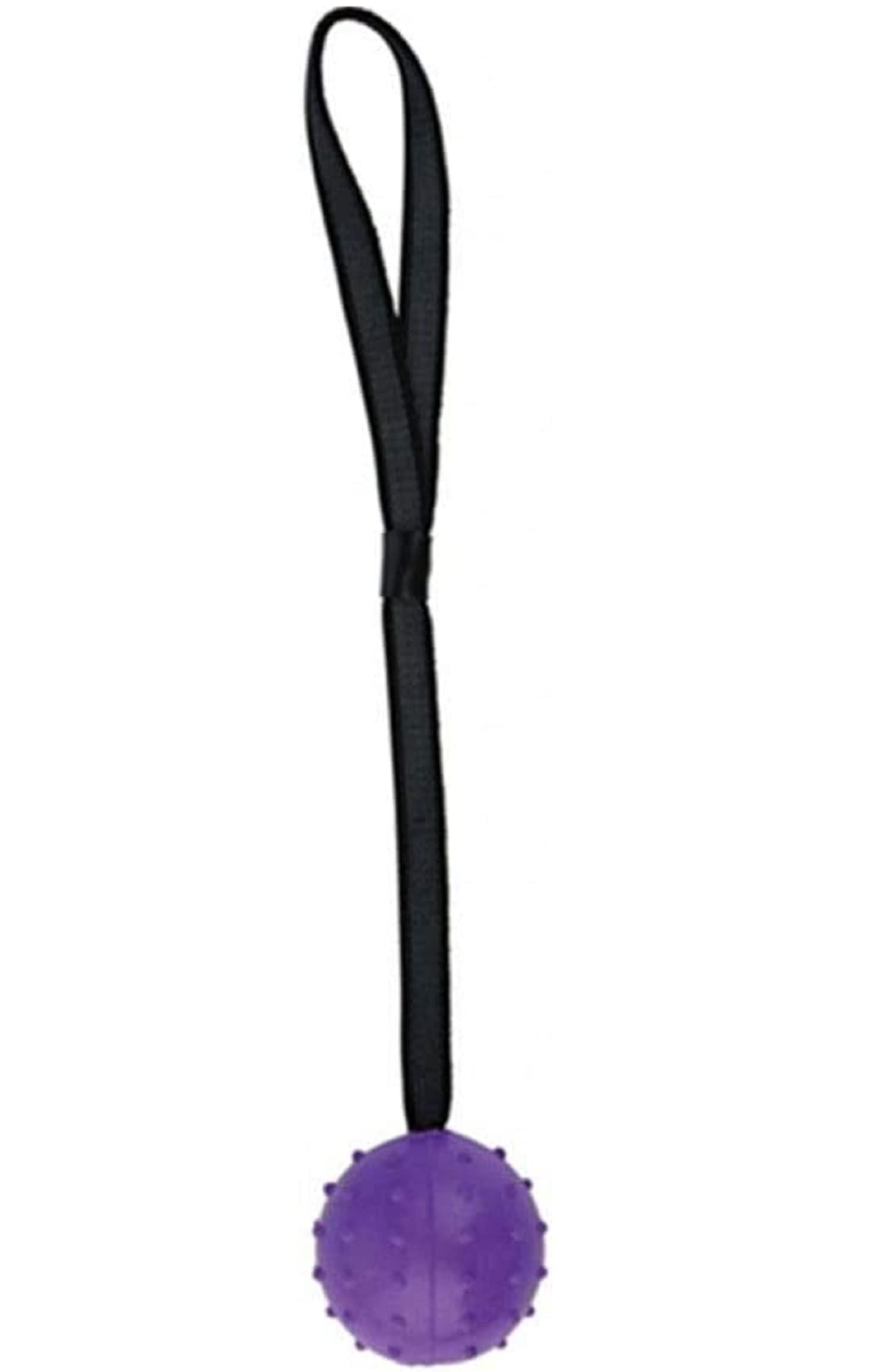 emily pets Dog Fetch Rubber Ball Rope Toy, EVA Rubber Spike Ball on a Rope Dog Toy can Floats in Water, for Interactive Pet Chew