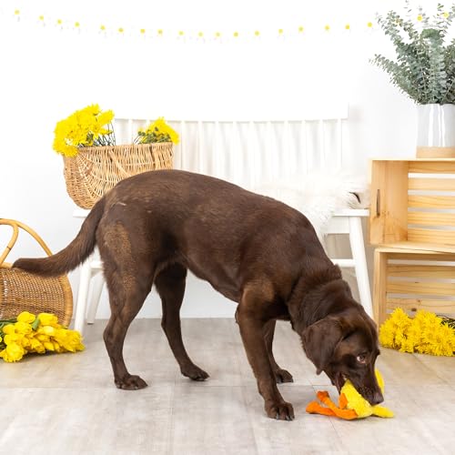 Fringe Studio Plush Dog Toy, Spring Chicken, Pet Shop Collection (314133)