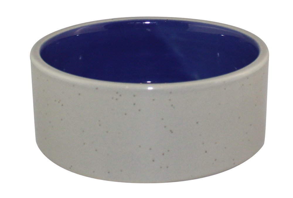 Ethical Pet Dog Dish Size: 2.75' H X 5.25' W X 5.25' D