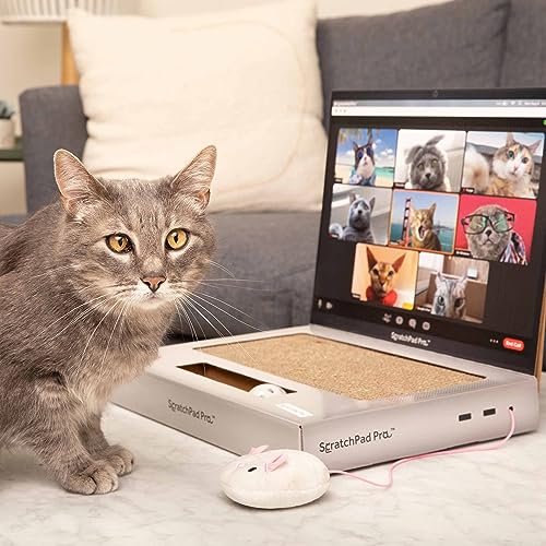 Scratchpad Pro - Cardboard Laptop Cat Scratcher, Interactive Cat Toys For Indoor Cats, Kitten Supplies And Cat Stuff By Relatabl