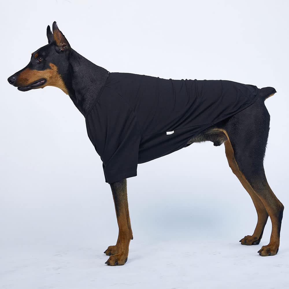 Lucky Petter Dog Shirt For Small Dogs Plain T-Shirts Soft Breathable Dog Cotton Shirt Pet Clothes (2X-Large, Black)