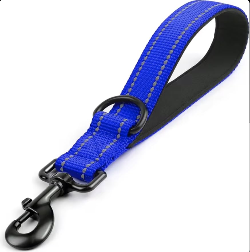 Heavy Duty Dog Leash, Reflective, Padded Handle, Up To 80 Lbs - 12' 18' 24' (Blue, Medium)