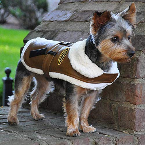 Faux Leather Brown Bomber Dog Coat - White Trim - Large