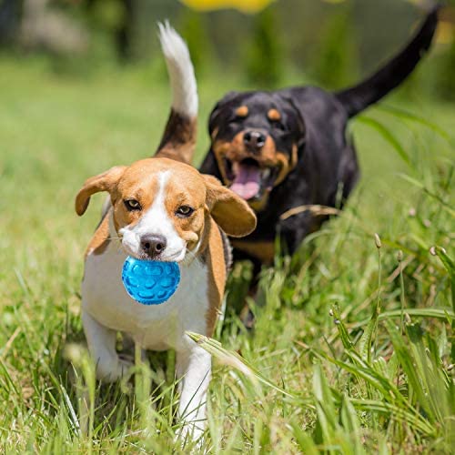 Pjdh 2 Packs Dog Ball Toys For Dog, 3.2 Inches Indestructible Dog Fetch Ball Kong Squeaky Ball For Training Playing, Blue+Green