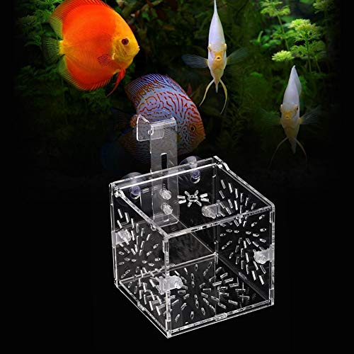Fish Separation Breeder Box, Acrylic Transparent Fish Breeding Isolation Box Aquarium Hatchery Incubator Holder(A-10X10X10Cm)