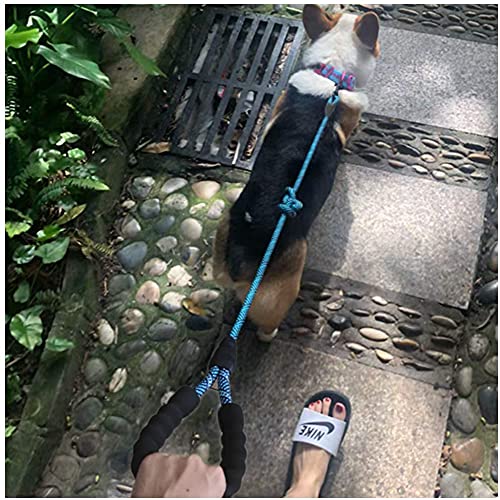 Maypaw Heavy Duty Rope Dog Leash, 3/4/5/6/7/8/10/12/15 Ft Nylon Pet Leash, Soft Padded Handle Thick Lead Leash For Large Medium Dogs Small Puppy