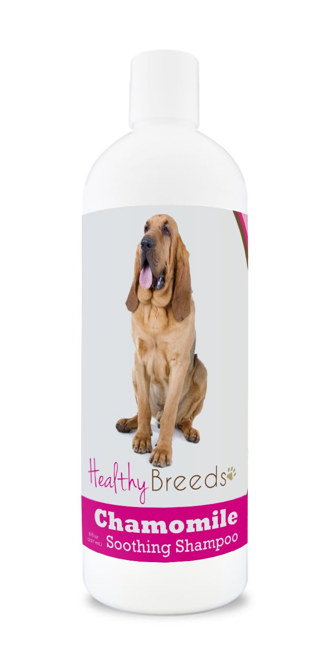 Healthy Breeds Bloodhound Chamomile Soothing Dog Shampoo 8 oz