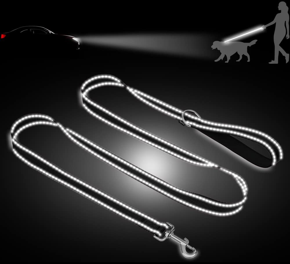 Taglory Dog Leash For Small Dogs | Double-Sided Reflective | Soft Neoprene Padded Handle | 3/4 Inch By 4 Ft | Fit Small Medium Large Breeds Dogs Under 20Lbs | Black