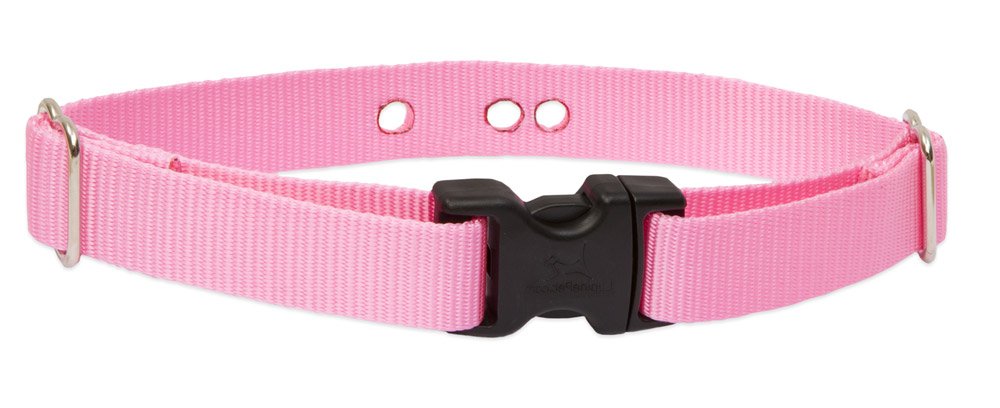 Lupinepet Basics 3/4' Pink 9-12' Containment Collar Strap For Small Dogs
