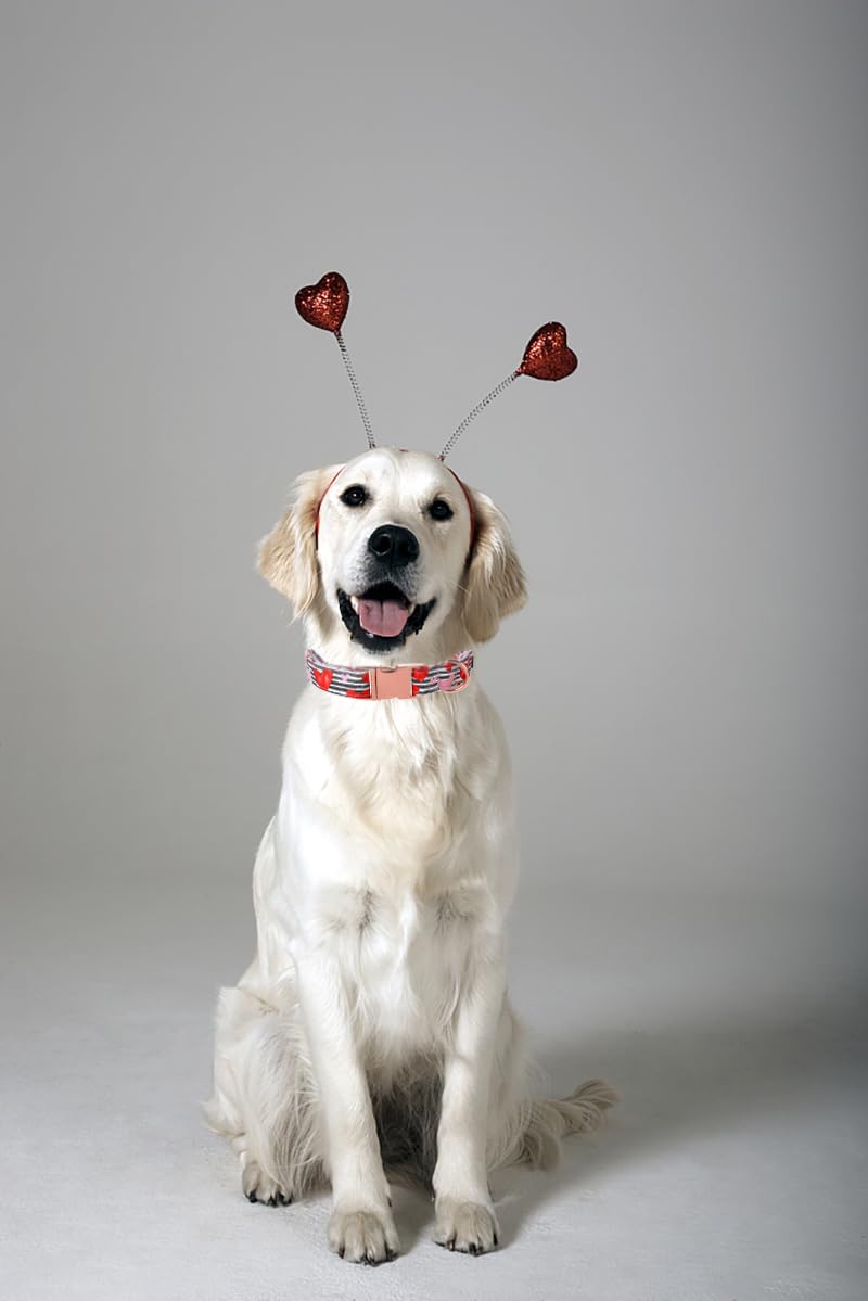 Lionet Paws Valentine Dog Collar, Heavy-Duty Cute Red Heart Pattern Fabric Pet Collar With Metal Buckle For Large, Xlarge, Neck