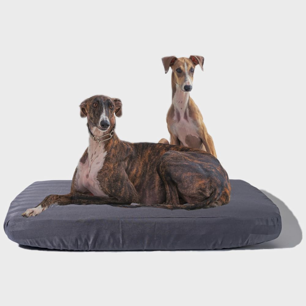 Koazy Orthopedic Dog Bed For Extra Large Dogs - Waterproof Memory Foam Xl Dog Bed With Durable Spring, Removable Washable Cover,