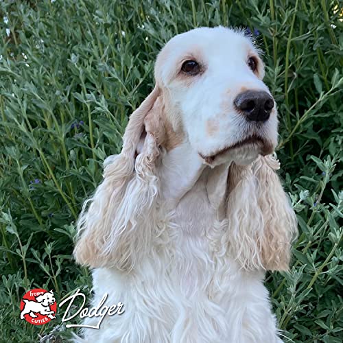 Fromm Four Star Grain Free Dry Dog Food, Game Bird Recipe, 4-Pound Bag