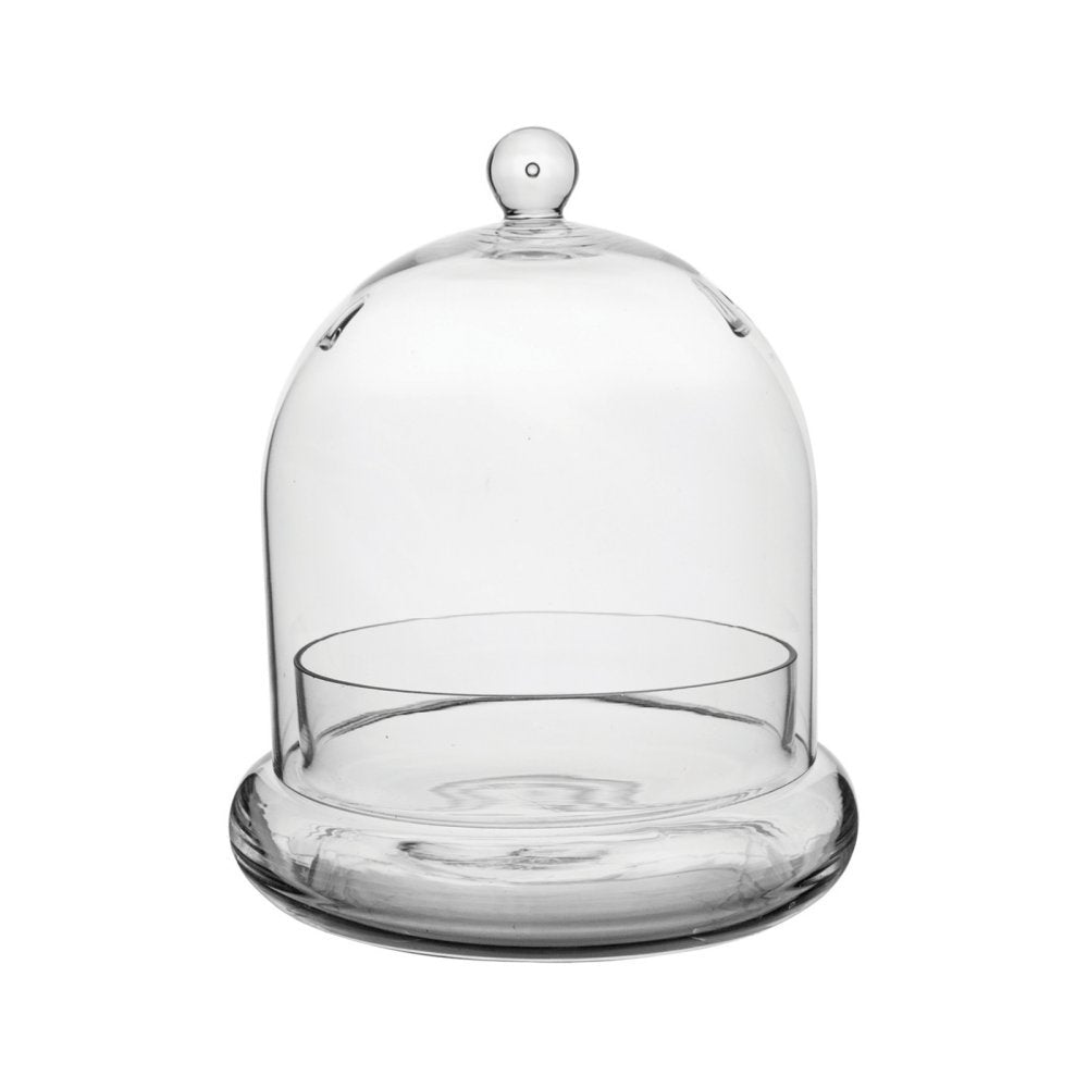 Syndicate Sales Inc 3776-04-09 7 X 8 Terrarium Cloche