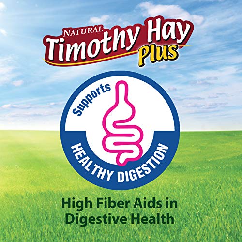 Kaytee Timothy Hay Plus Carrots for Pet Guinea Pigs, Rabbits & Other Small Animals, 24 oz